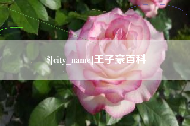 武夷山王子豪百科