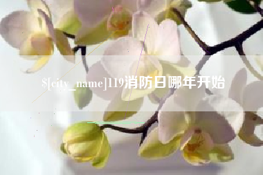 武夷山119消防日哪年开始