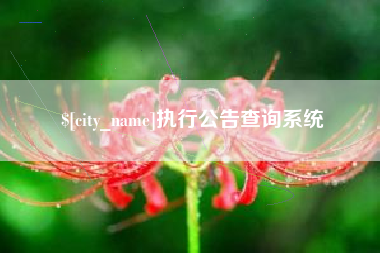 武夷山执行公告查询系统