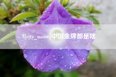 武夷山中国金牌都是啥
