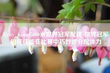 武夷山5000米世界冠军配速-世界冠军们往往能在比赛中巧妙地分配体力