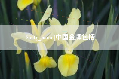 武夷山中国金牌包括