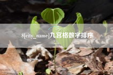 武夷山九宫格数字排序