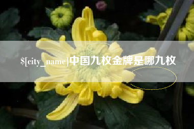武夷山中国九枚金牌是哪九枚