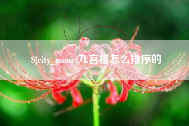 武夷山九宫格怎么排序的