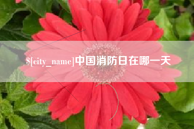 武夷山中国消防日在哪一天