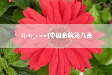 武夷山中国金牌第九金