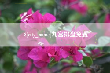 武夷山九宫排盘免费