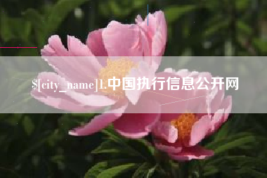 武夷山1.中国执行信息公开网