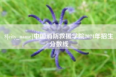 武夷山中国消防救援学院2024年招生分数线