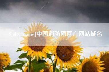 武夷山中国消防网官方网站域名