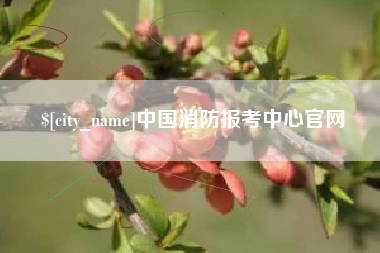 武夷山中国消防报考中心官网