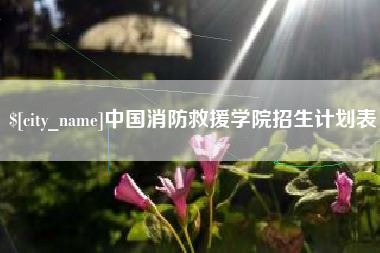 武夷山中国消防救援学院招生计划表