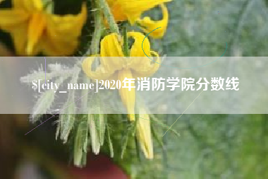 武夷山2020年消防学院分数线