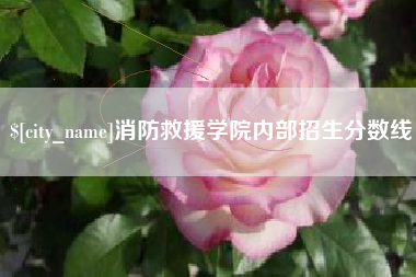 武夷山消防救援学院内部招生分数线