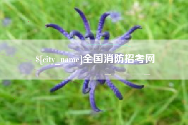 武夷山全国消防招考网