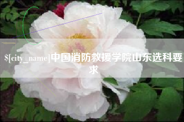武夷山中国消防救援学院山东选科要求