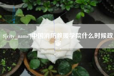 武夷山中国消防救援学院什么时候政审
