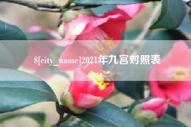 武夷山2021年九宫对照表