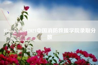 武夷山2021中国消防救援学院录取分数