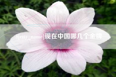武夷山现在中国哪几个金牌