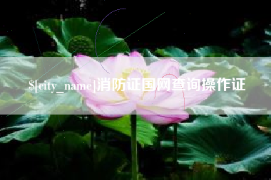 武夷山消防证国网查询操作证