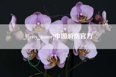 武夷山中国消防官方