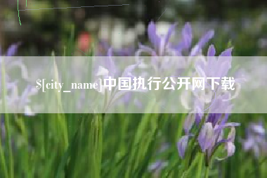武夷山中国执行公开网下载