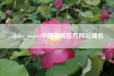 武夷山中国消防官方网站域名
