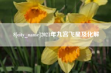 武夷山2021年九宫飞星及化解