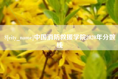 武夷山中国消防救援学院2020年分数线