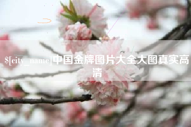 武夷山中国金牌图片大全大图真实高清