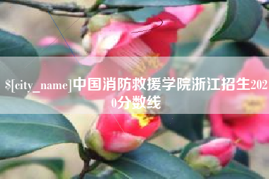 武夷山中国消防救援学院浙江招生2020分数线