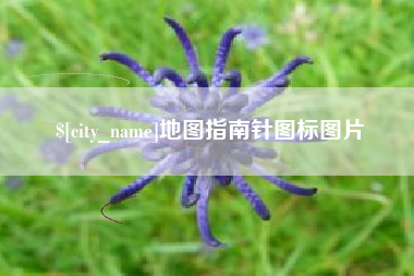 武夷山地图指南针图标图片