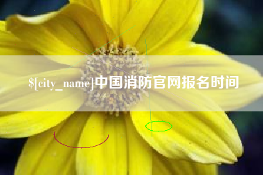 武夷山中国消防官网报名时间