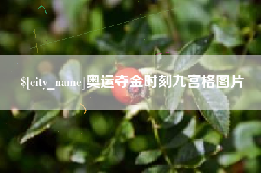 武夷山奥运夺金时刻九宫格图片