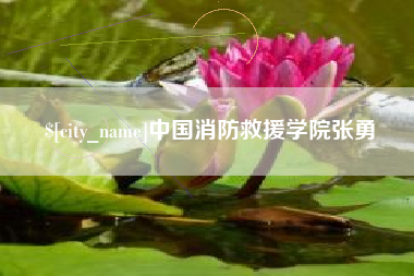 武夷山中国消防救援学院张勇