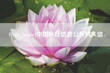 武夷山中国执行信息公开网失信