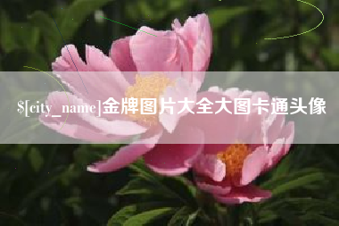 武夷山金牌图片大全大图卡通头像