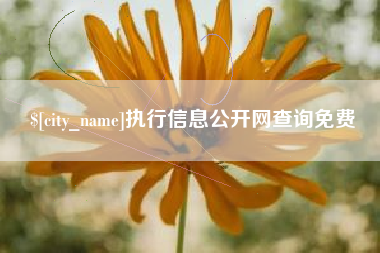 武夷山执行信息公开网查询免费