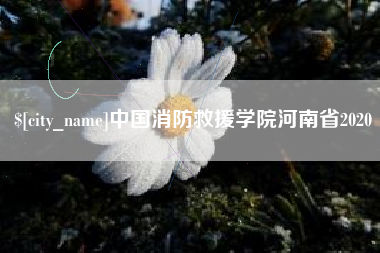 武夷山中国消防救援学院河南省2020